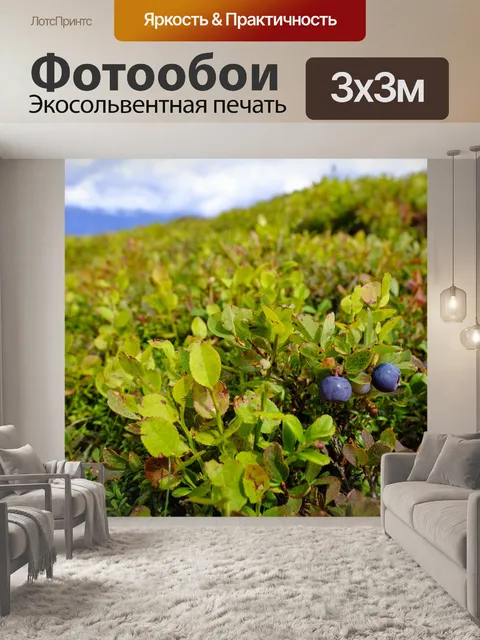 Фотообои Черника