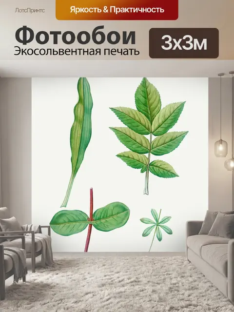 Фотообои Листья листва растения винтаж