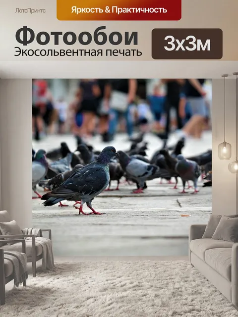 Фотообои Голуби