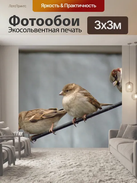 Фотообои Птицы