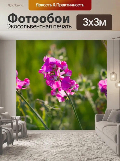 Фотообои Душистый горошек