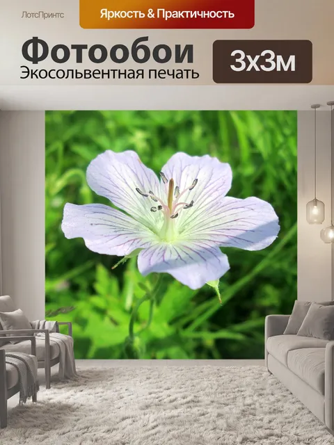 Фотообои Природа