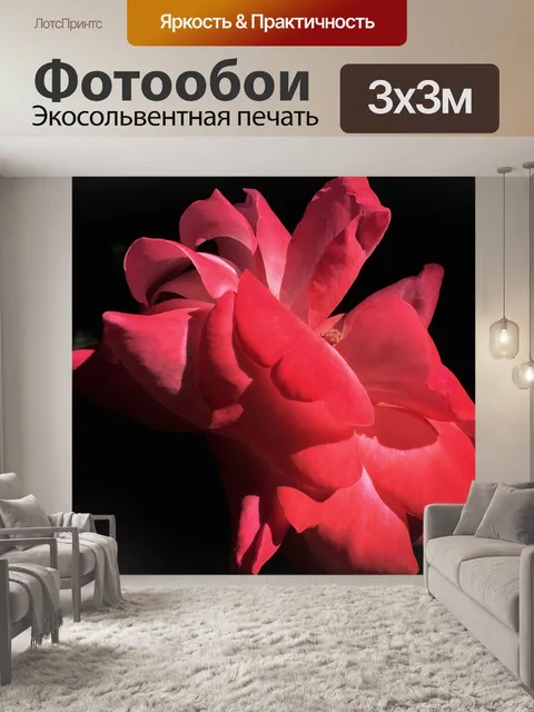 Фотообои Цветок