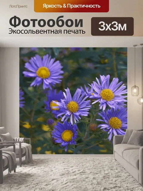 Фотообои Цветы астры распускаются осенью