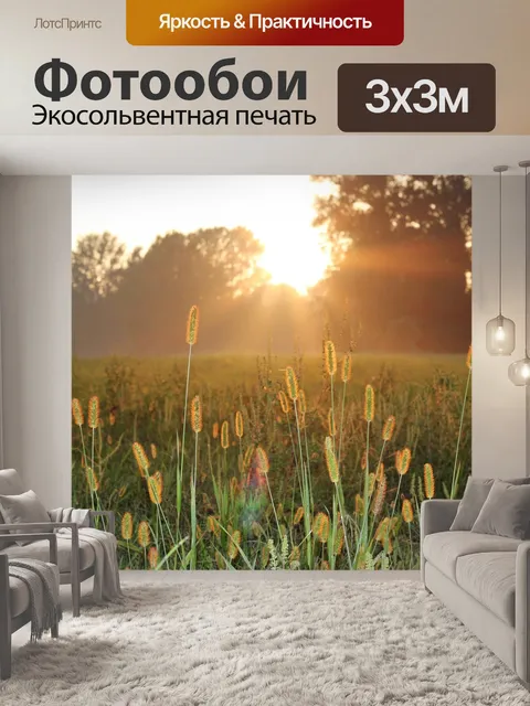 Фотообои Заход солнца