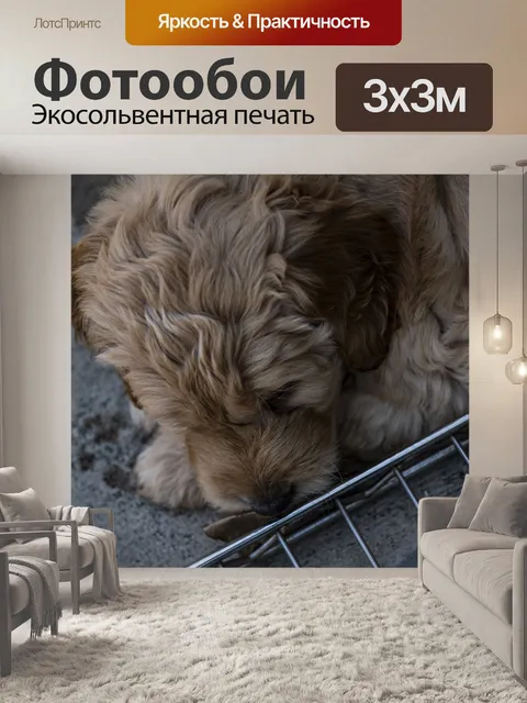 Фотообои Щенок спит