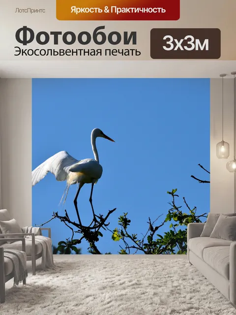 Фотообои Белая цапля