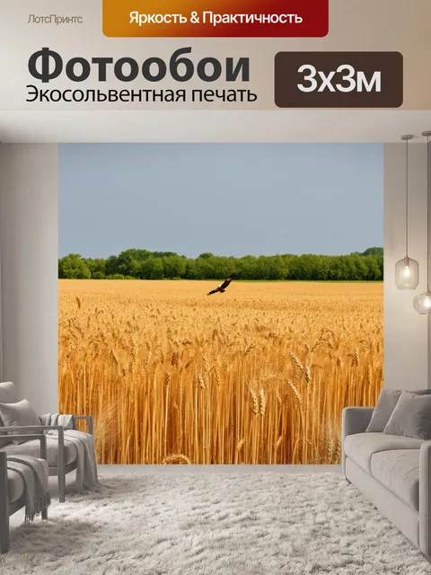 Фотообои пейзаж с широкими полями пшеницы и полетом орлов