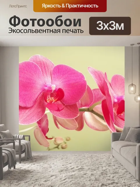 Фотообои Бабочки орхидеи