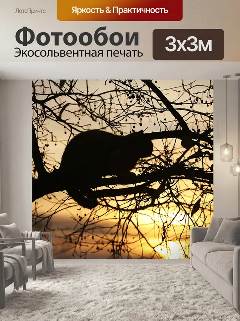 Фотообои Кошка