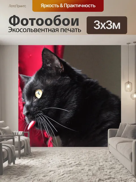 Фотообои Мониторинг