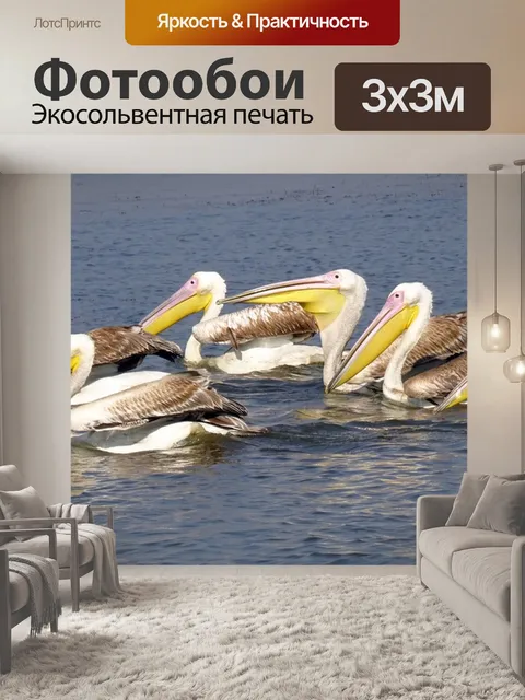 Фотообои Большой белый пеликан