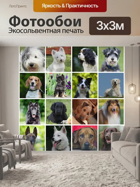 Фотообои Собаки