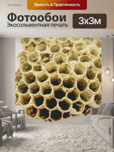 Фотообои Пчелиный улей мед