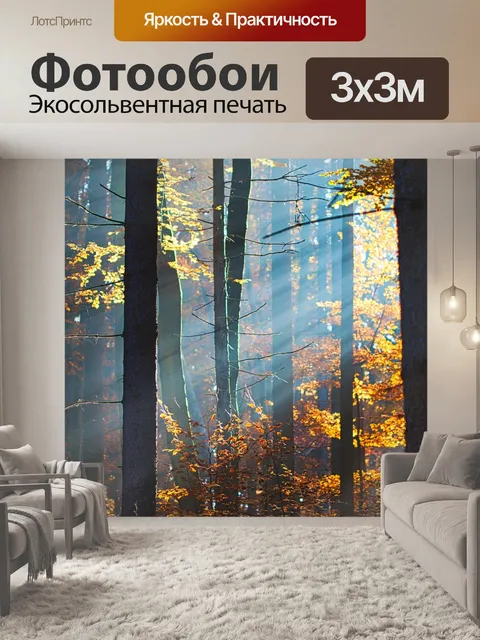 Фотообои Лес