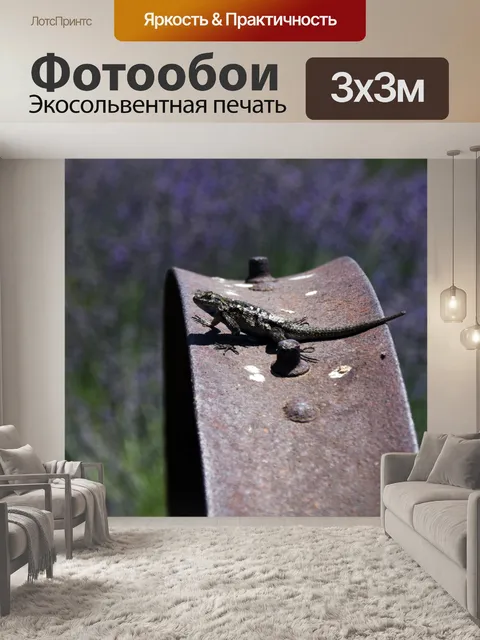 Фотообои Ящерица