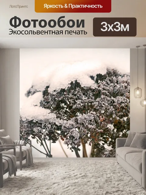 Фотообои Зимние завод