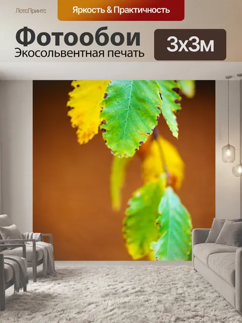 Фотообои Осенью листья бука