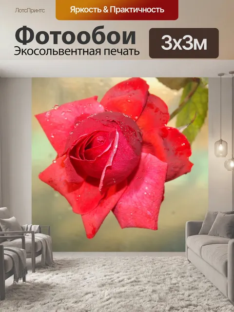 Фотообои Роза