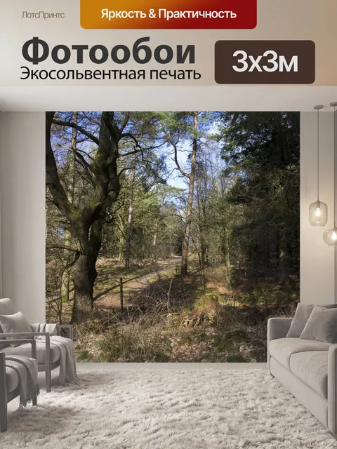 Фотообои Деревья