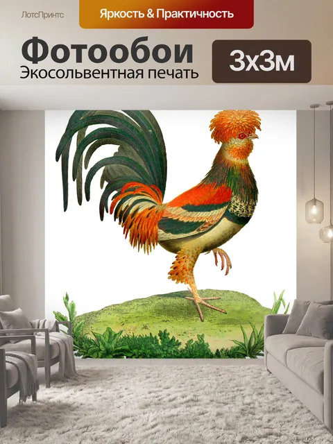 Фотообои Винтажный петух