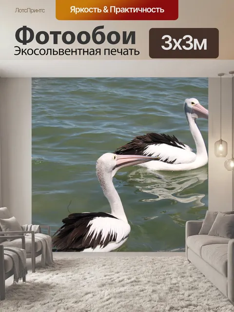 Фотообои пеликан на поверхности моря