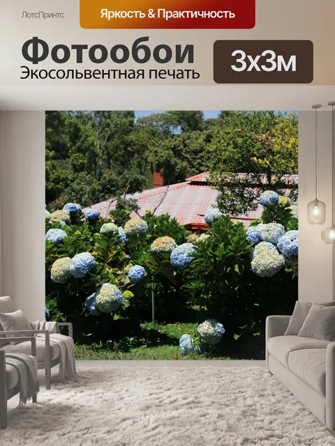 Фотообои Фиолетовая гортензия