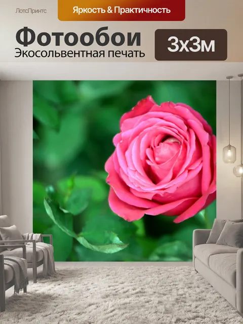Фотообои Сладкий Роуз