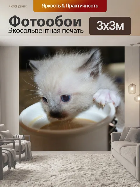 Фотообои Котенок
