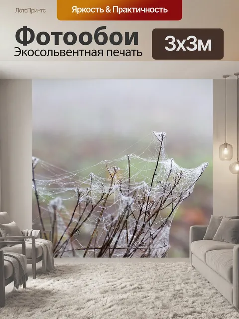 Фотообои Паутина