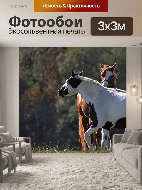 Фотообои лошадей