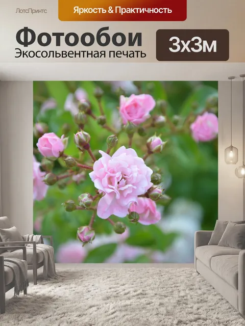 Фотообои Бутон розы