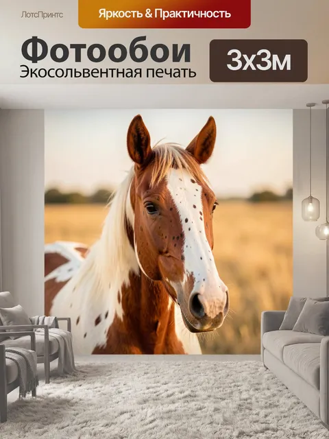 Фотообои Пятнистая лошадь на поле
