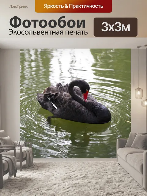 Фотообои Лебедь
