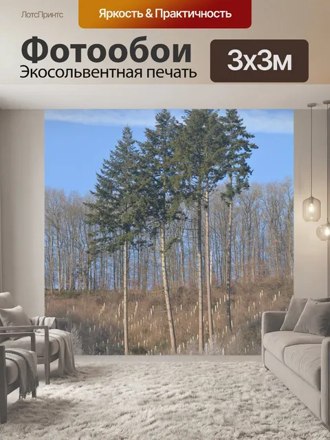 Фотообои Природа