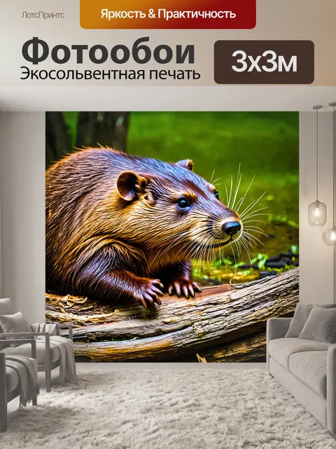 Фотообои макросъёмка бобра, закрывающего свою хатку вблизи