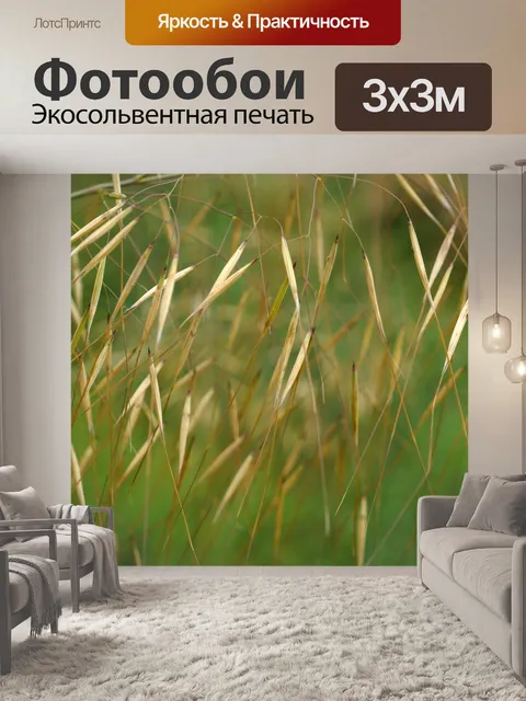 Фотообои Трава макросъемка