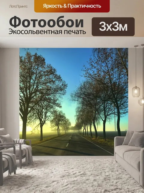 Фотообои Дорога