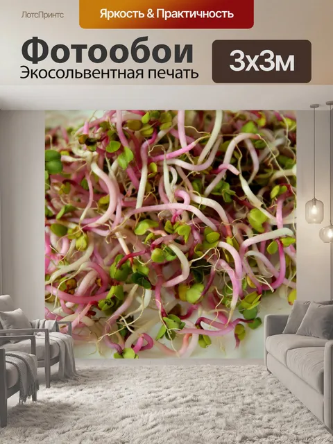 Фотообои Ростки