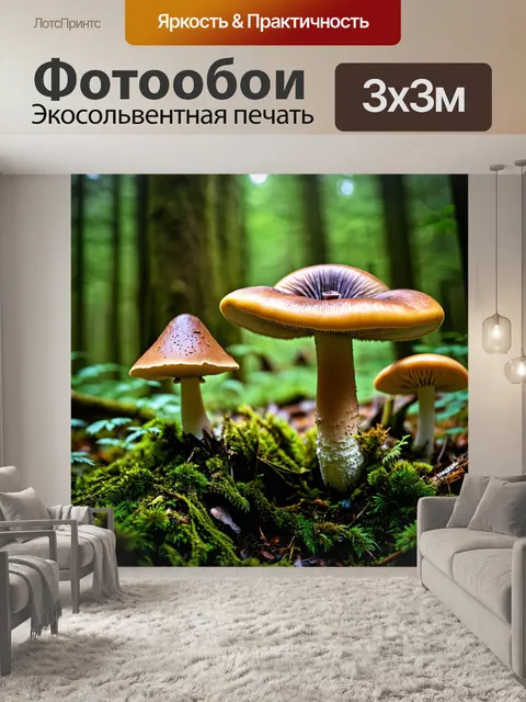 Фотообои лес с разнообразными лесными грибами, от ярких до ядовитых