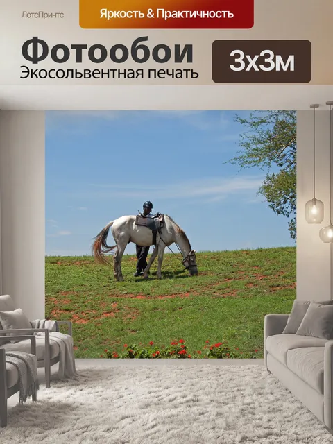 Фотообои Лошадь с перерывом