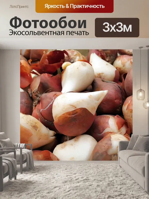Фотообои Лампы тюльпанов