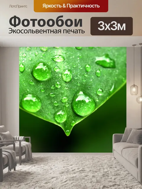 Фотообои Капля воды на листе