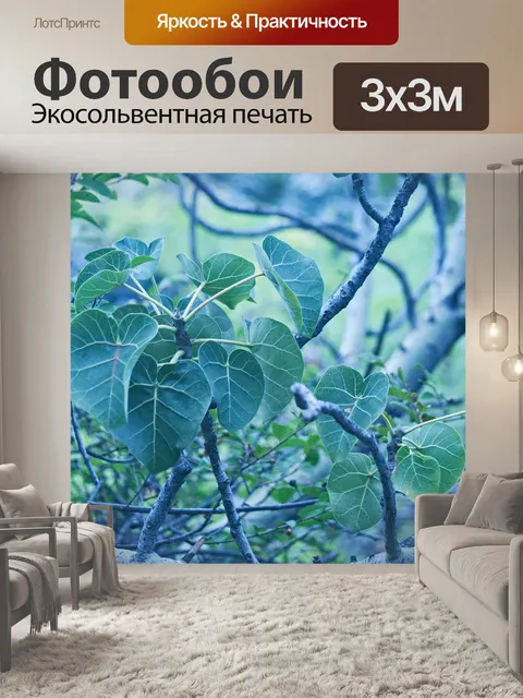 Фотообои крупнолистная каменная смоковница