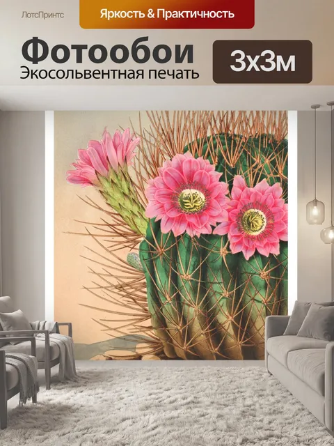 Фотообои Винтажные цветы кактуса