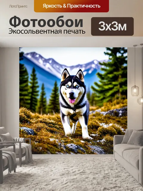 Фотообои хаски в горах, исследующий природу