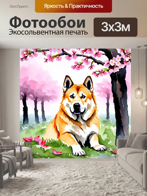 Фотообои величественная японская акита среди цветущих сакур, её мех окутан нежными лепестками