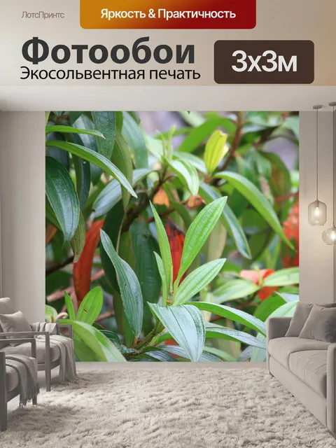 Фотообои кустарник с красными листьями