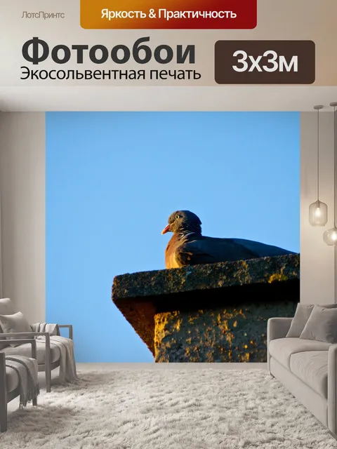 Фотообои Птицы