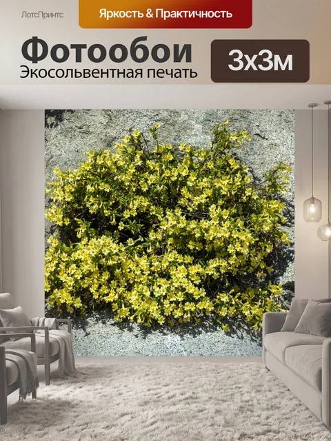 Фотообои полевые цветы